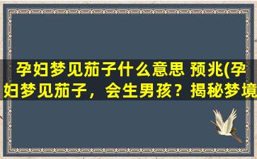 孕妇梦见茄子什么意思 预兆(孕妇梦见茄子，会生男孩？揭秘梦境背后的预示！)